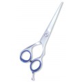 Barber Scissors
